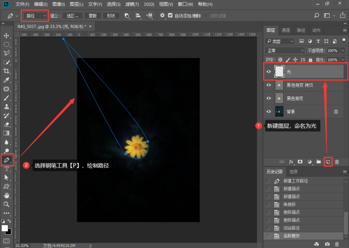 光束效果，制作阳光照射到花朵上面的效果