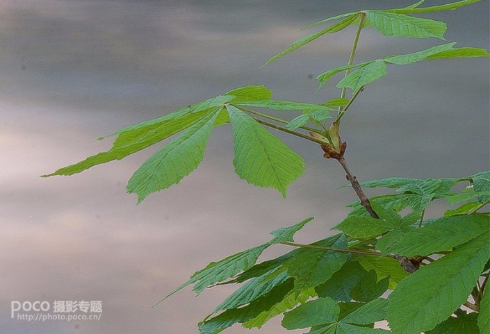 銳化效果，做好銳化是如何提升照片品質(zhì)的