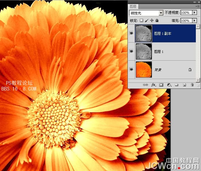 Photoshop美化教程：10秒找回花朵顏色層次和銳度