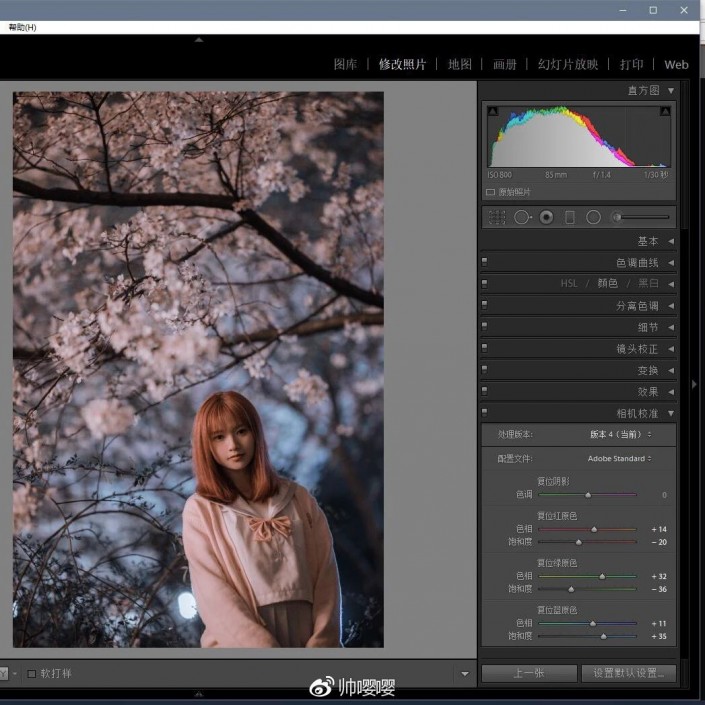 人物调色，用PS打造唯美的夜景樱花人像