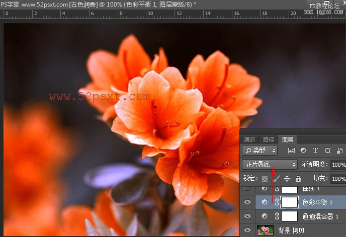 PS cs6调古典韵味花卉教程