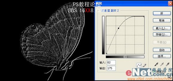 Photoshop教程:制作蝴蝶化石