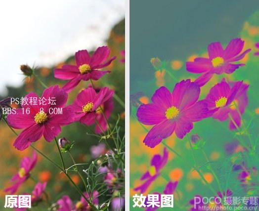 PhotoShop利用LAB通道调制油画风格的照片