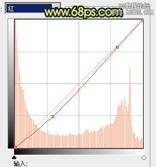 ps打造个性的古典暗金色婚纱照片