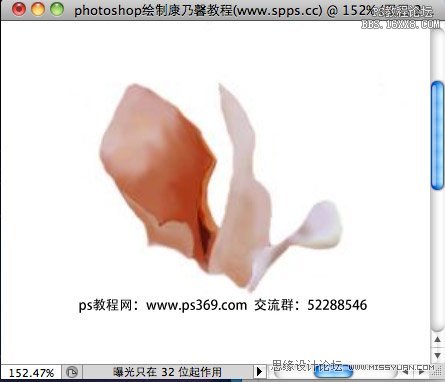 Photoshop绘制母亲节康乃馨教程,PS教程,思缘教程网