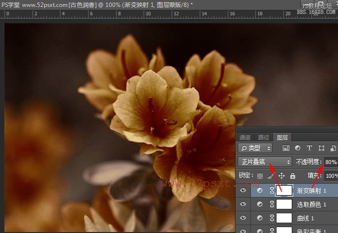 PS cs6调古典韵味花卉教程