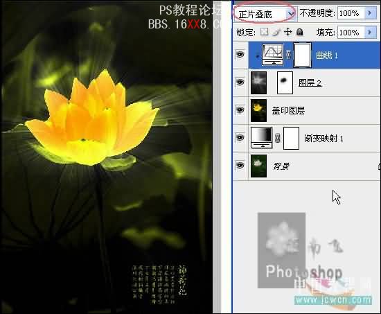 photoshop调色教程:制作金色莲花