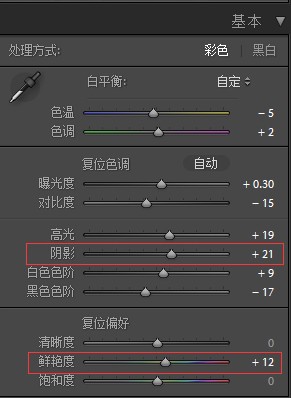 单色效果，教大家制作延时摄影城市照片