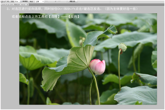 虛化背景，Photoshop做出大光圈虛化效果