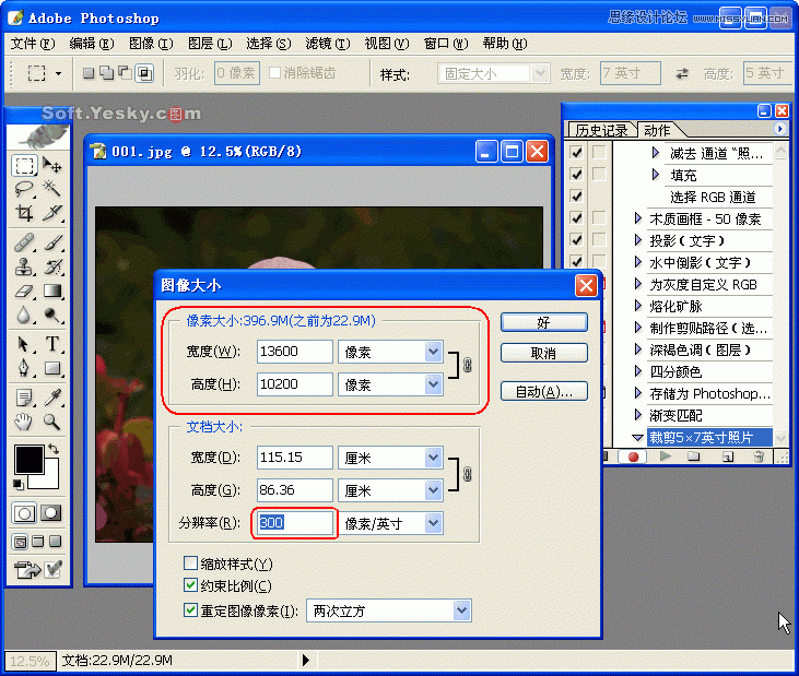 ps巧用動作按比例自動批量裁剪照片