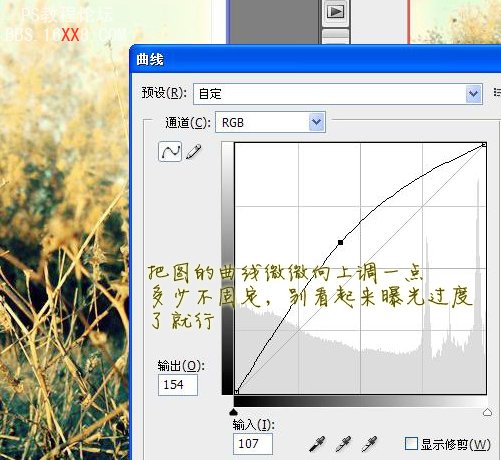 PS入門調色教程:日光傾城色調