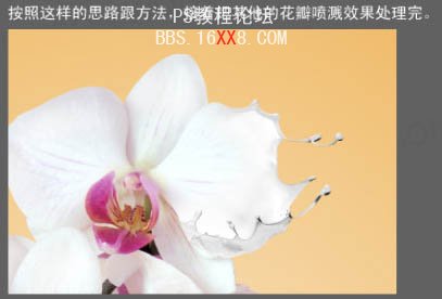 PS教程:合成动感的牛奶花朵