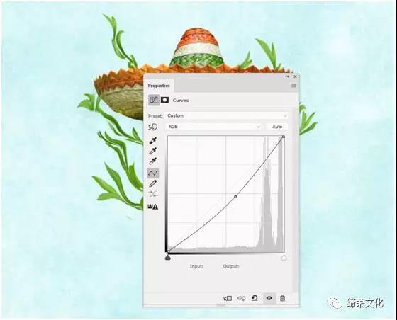 创意合成，在PS里创建一个花卉糖头骨的照片