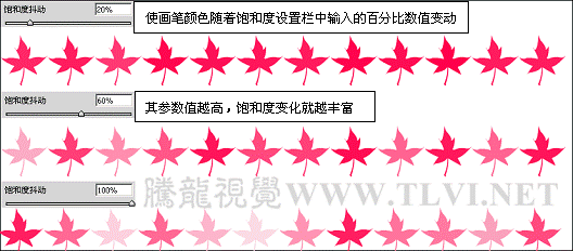 画笔工具的颜色动态参数设置