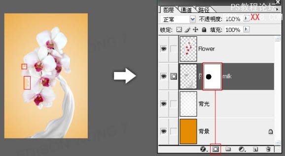 PS教程:合成動感的牛奶花朵