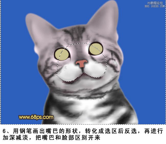 PS鼠绘神态可爱的小灰猫