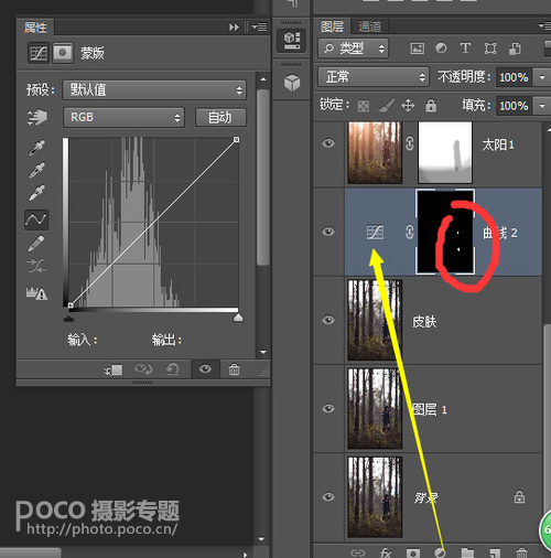 逆光效果，給森林寫真制作暖色調的光線效果