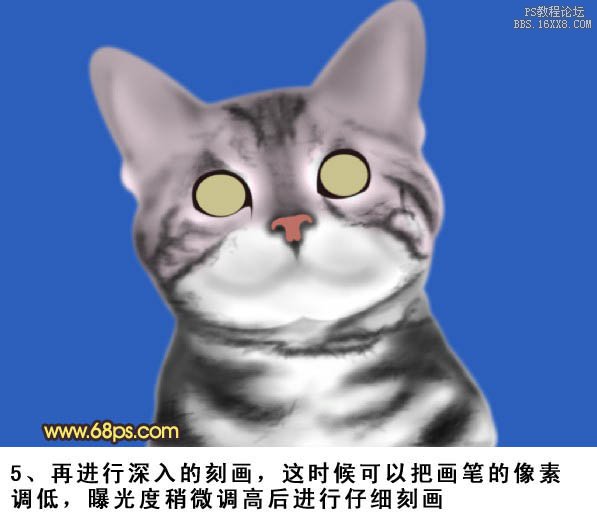 PS鼠绘神态可爱的小灰猫