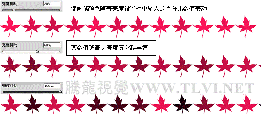 畫筆工具的顏色動態(tài)參數(shù)設置