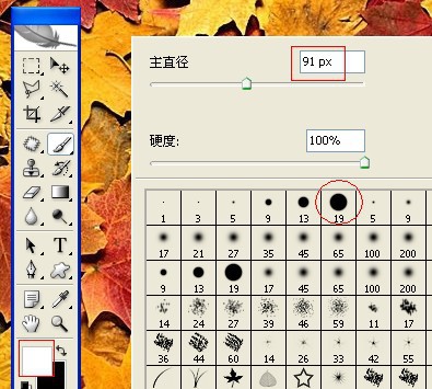 ps如何使用图片素材