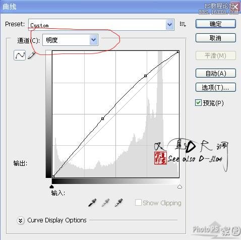 ps照片轉手繪詳細教程