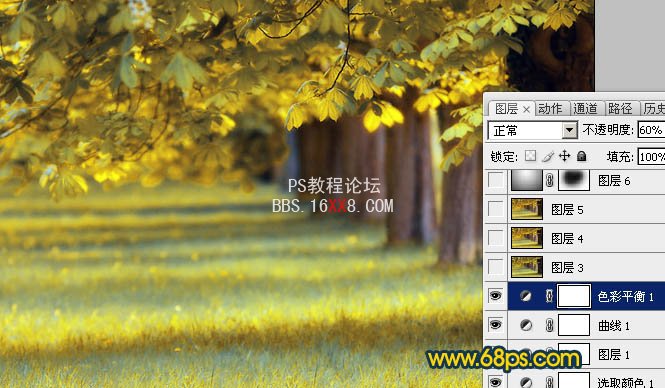 Photoshop調出綠蔭樹林燦爛金色調