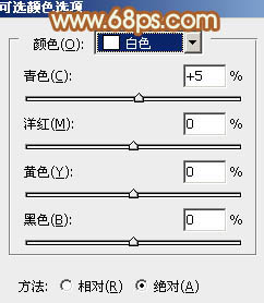 ps韩系非主流红褐色教程