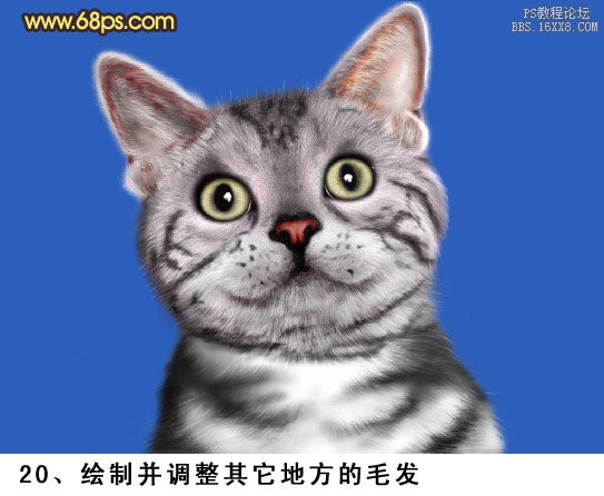 PS鼠绘神态可爱的小灰猫