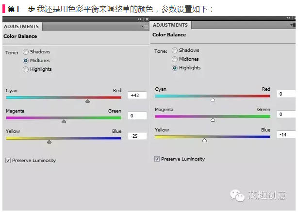 動物惡搞，合成背上長草的蝸牛圖片