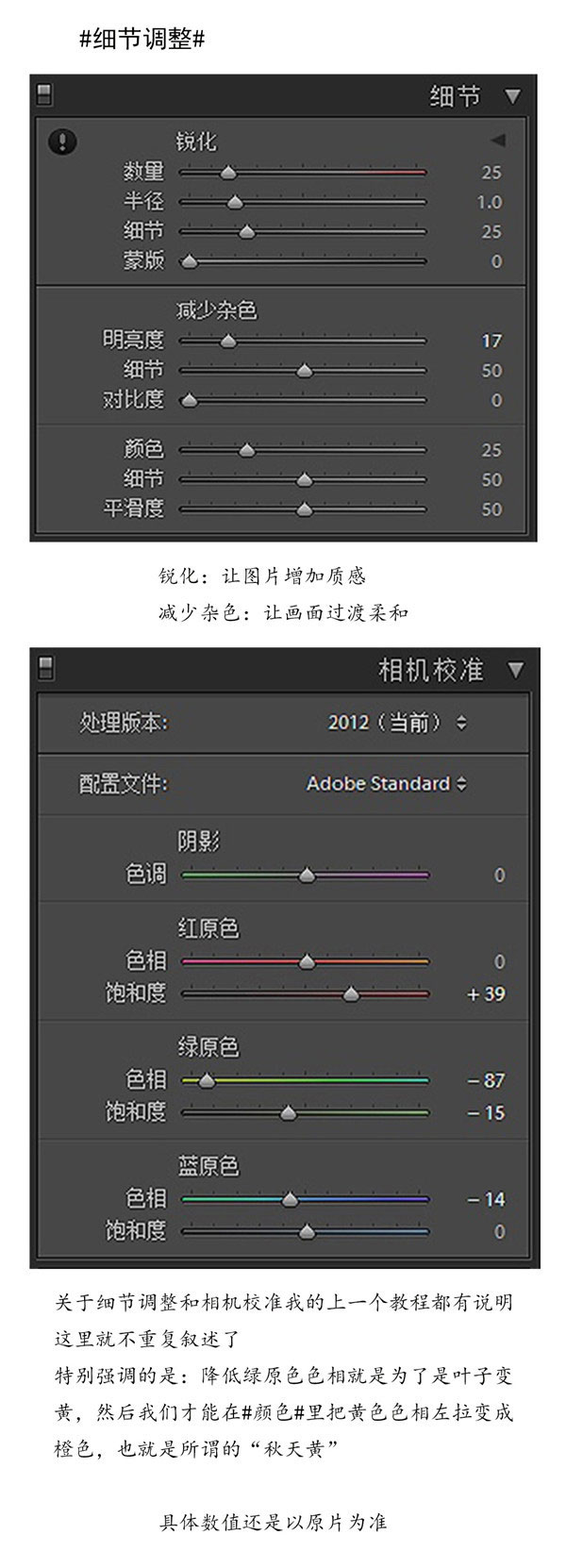 暖色調，調出秋日森林精靈人像照片