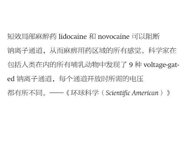 字体知识，哪种字体最适合快速阅读？