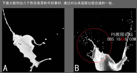 PS教程:合成動感的牛奶花朵