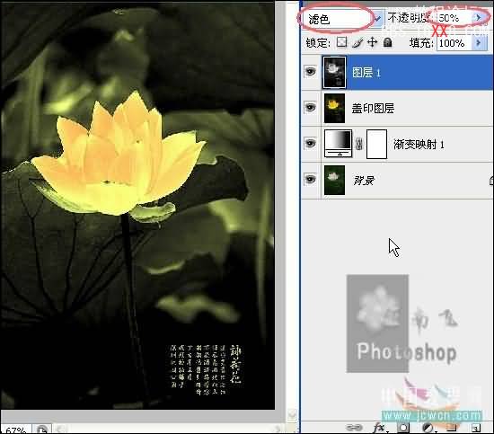 photoshop调色教程:制作金色莲花