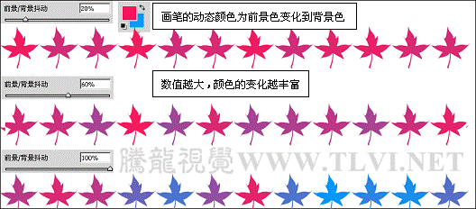 画笔工具的颜色动态参数设置