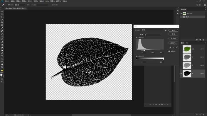 树叶剪影，通过PS提取树叶的脉络
