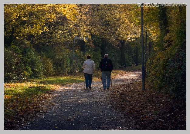 PS調(diào)出公園里散步老年情侶溫馨意境教程