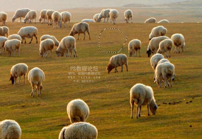 去杂物，最简单的去杂物方法