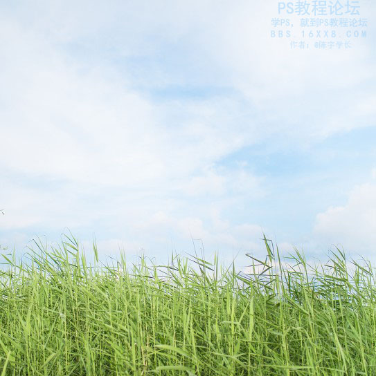 物品调色，教你调夏日清新色调教程