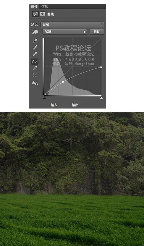 森林场景，合成女人与鹿梦幻森林场景教程