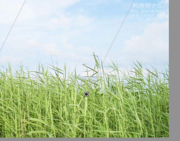 物品调色，教你调夏日清新色调教程