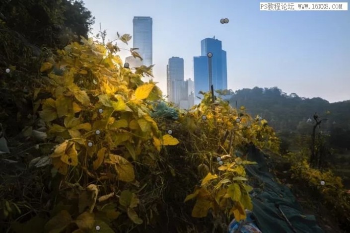 后期調色，詳細解析選區在后期調色中的作用