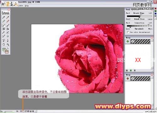 使用PS滤镜插件Mask pro轻松抠出花卉