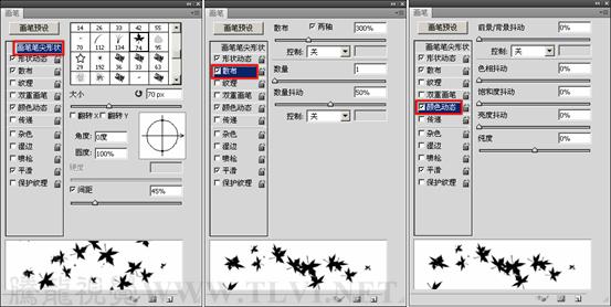 畫筆工具的顏色動態(tài)參數(shù)設置