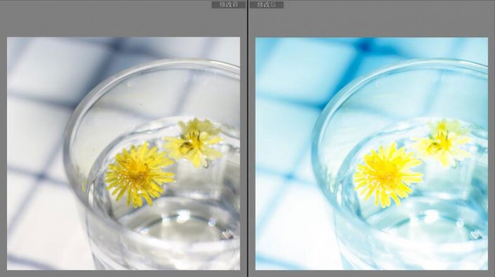 LR調色教程，通過LR給夏日靜物調出一種小清新色調