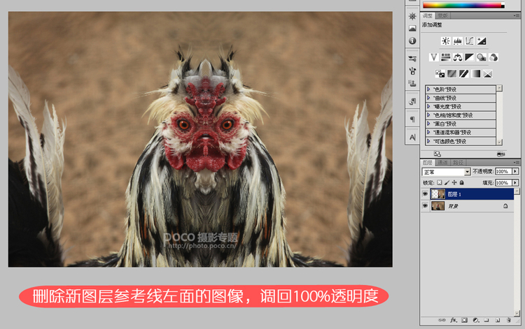 PS用镜像合成可怕公鸡