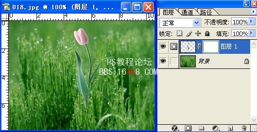 PS入门教程:解析Photoshop蒙板