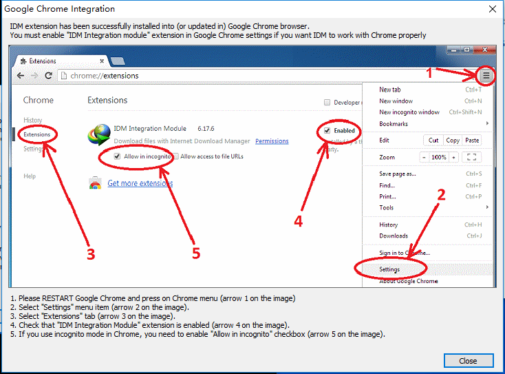 Internet Download Manager