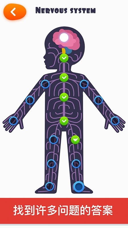 互动人体解剖学app