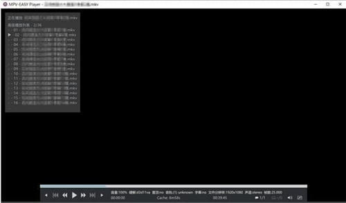 MPV-EASY Player播放器