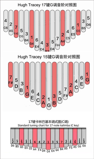 gstrings调音器安卓版